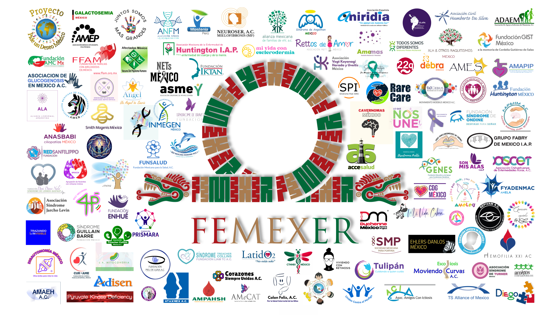 FEMEXER junto con sus 100 aliados: asociaciones de pacientes, grupos de pacientes, pacientes expertos e instituciones de investigación científica-médica.